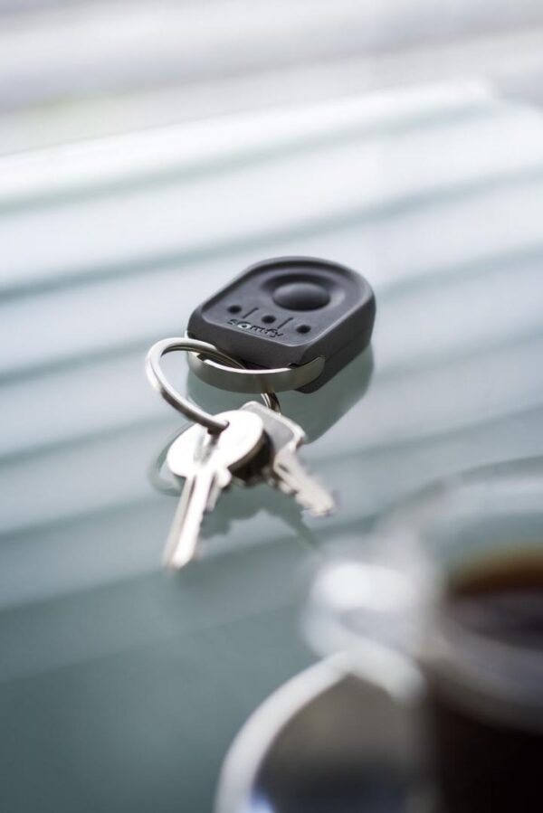 Somfy Pilot Keygo 4 io, 1-kierunkowy, 4-kanałowy 1841134 - obrazek 2